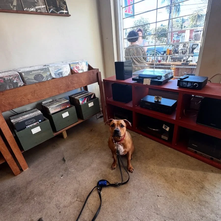 We are open until 8pm lots of fresh new arrivals out now!  #vinyl #records #eaglerock #recordstore