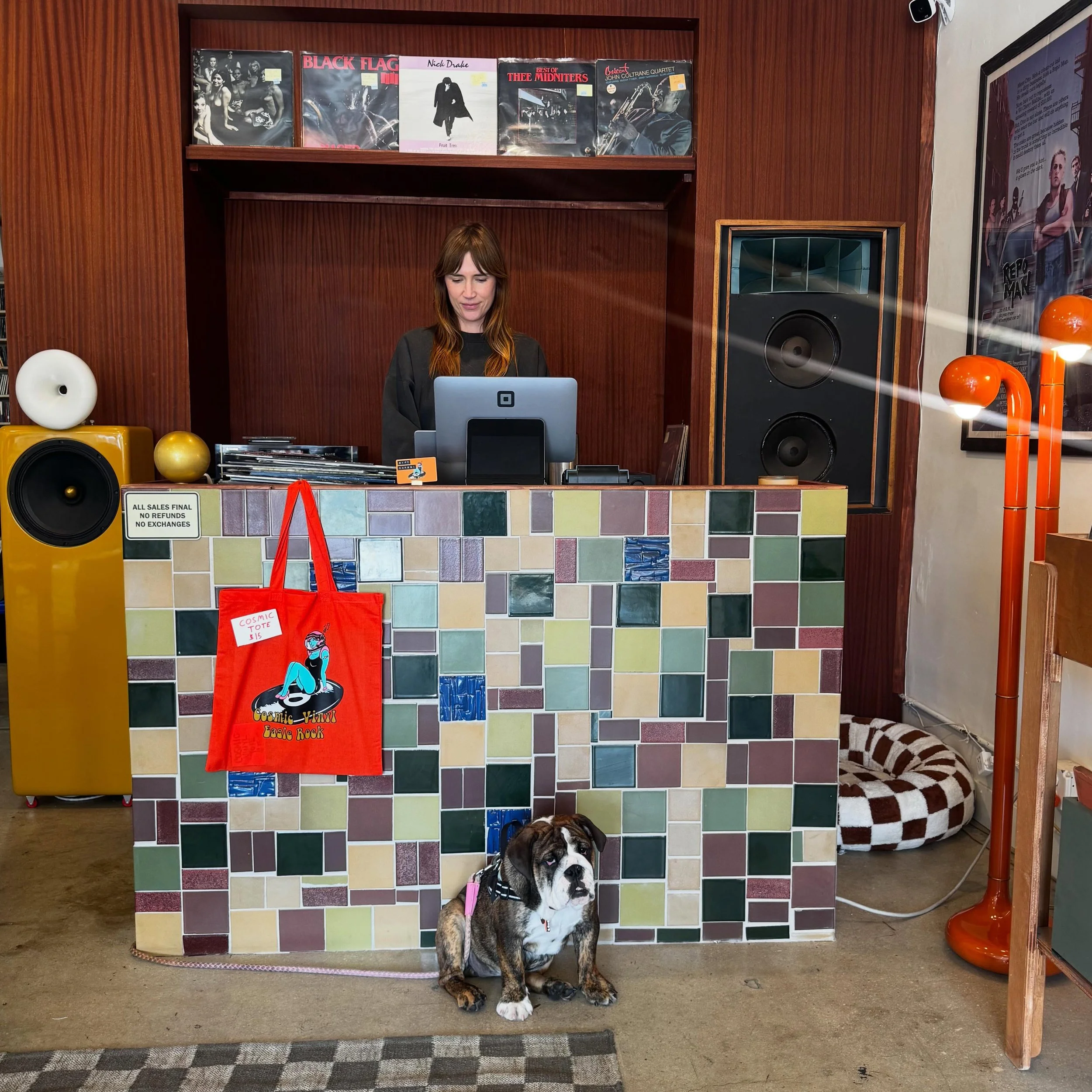 Daisy and Claire holding it down at the shop. Open until 8pm.  #vinyl #recordstore #englishbulldog #records