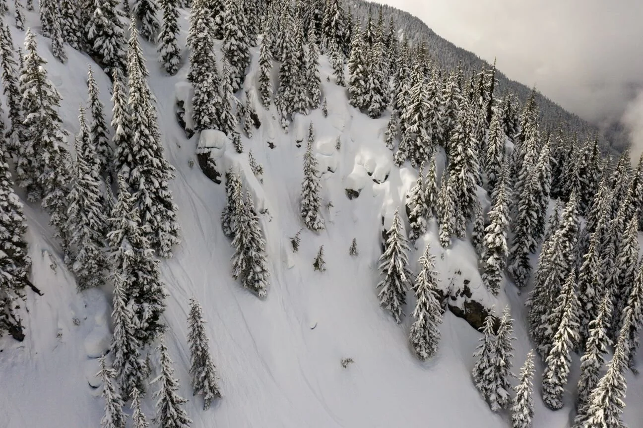 hollywood from drone.jpeg