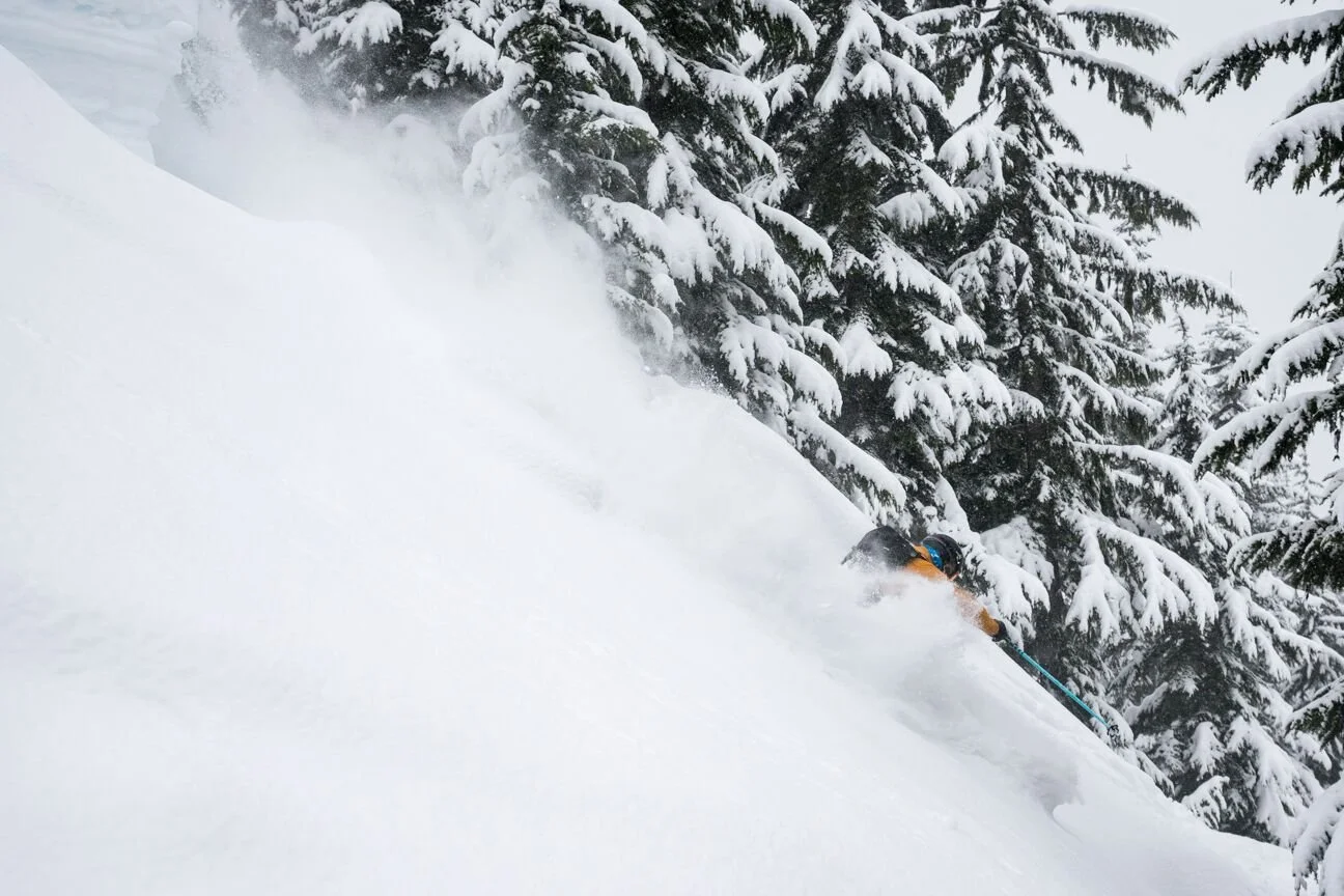 Robbie Pitted in Murrframe.jpeg