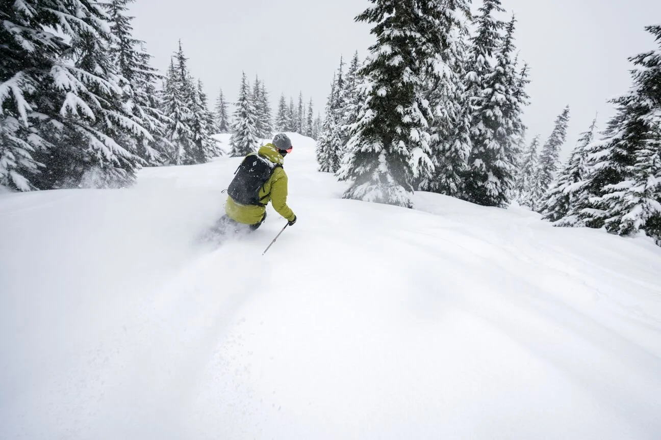 Sammy follow cam.jpeg