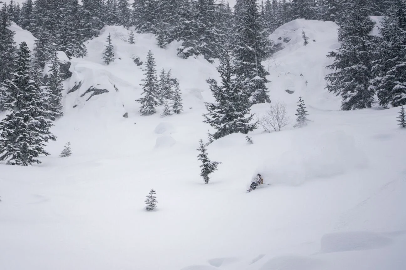 tram croner slash.jpeg