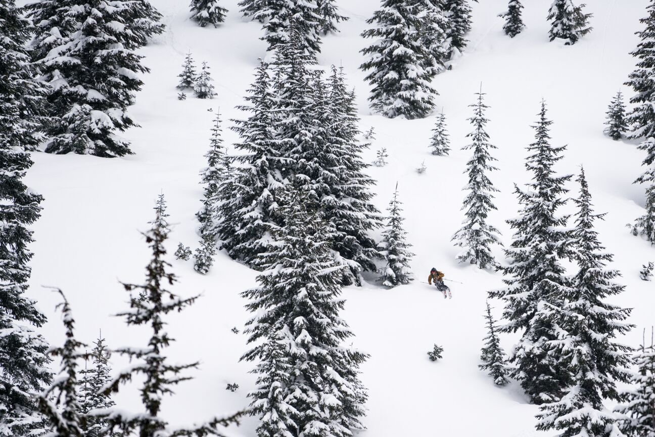 Robbie Tree Skiing.jpeg