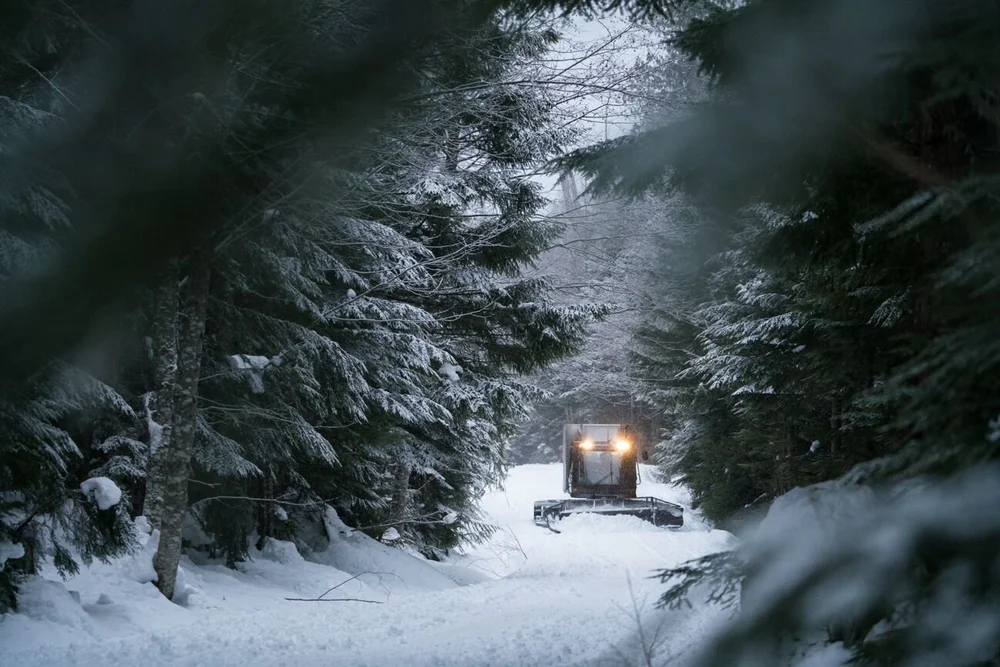 Cascade Powder Guides Cascade Powder Cats — Catski Day Trip Single Seat  Purchase