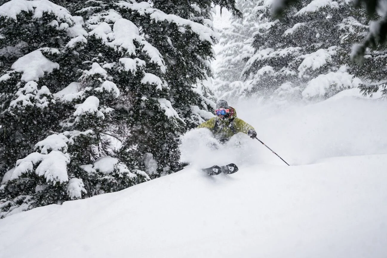 Sammy slash murframe.jpeg