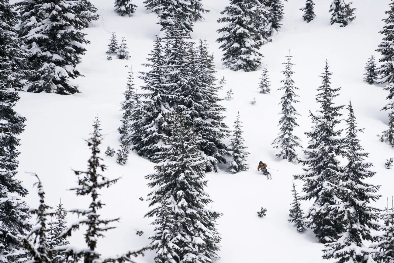 Robbie Tree Skiing.jpeg
