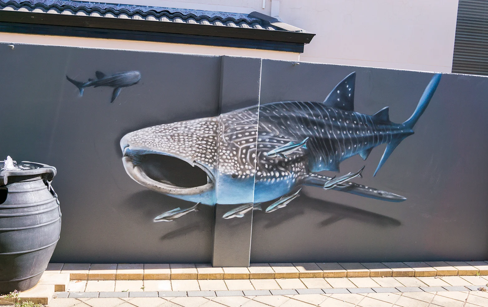 shark-resize.jpg