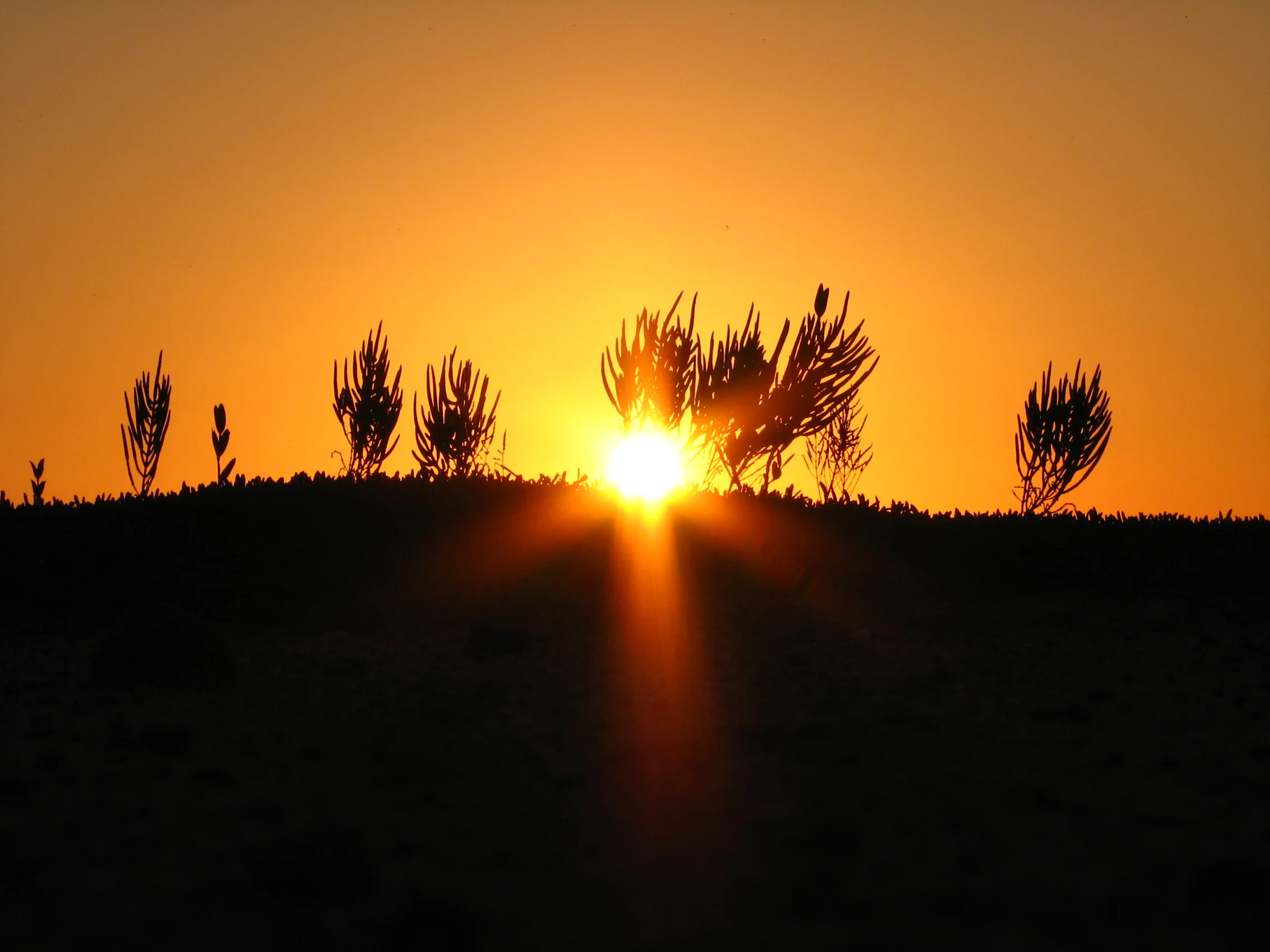 Cabo Rojo Amanecer 2 021.JPG