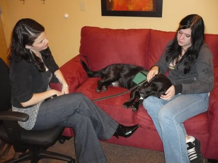 dog psychotherapy