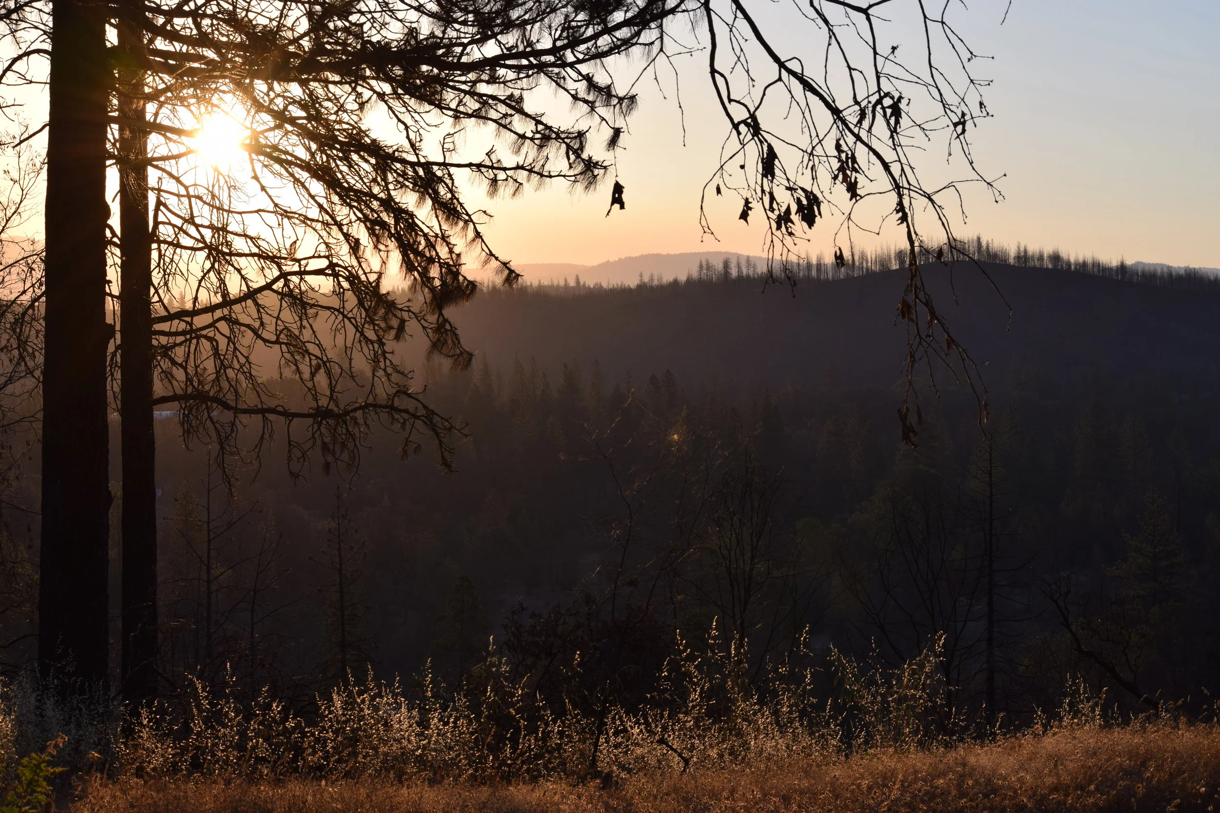 Life, death, new friends + strange towns. 
