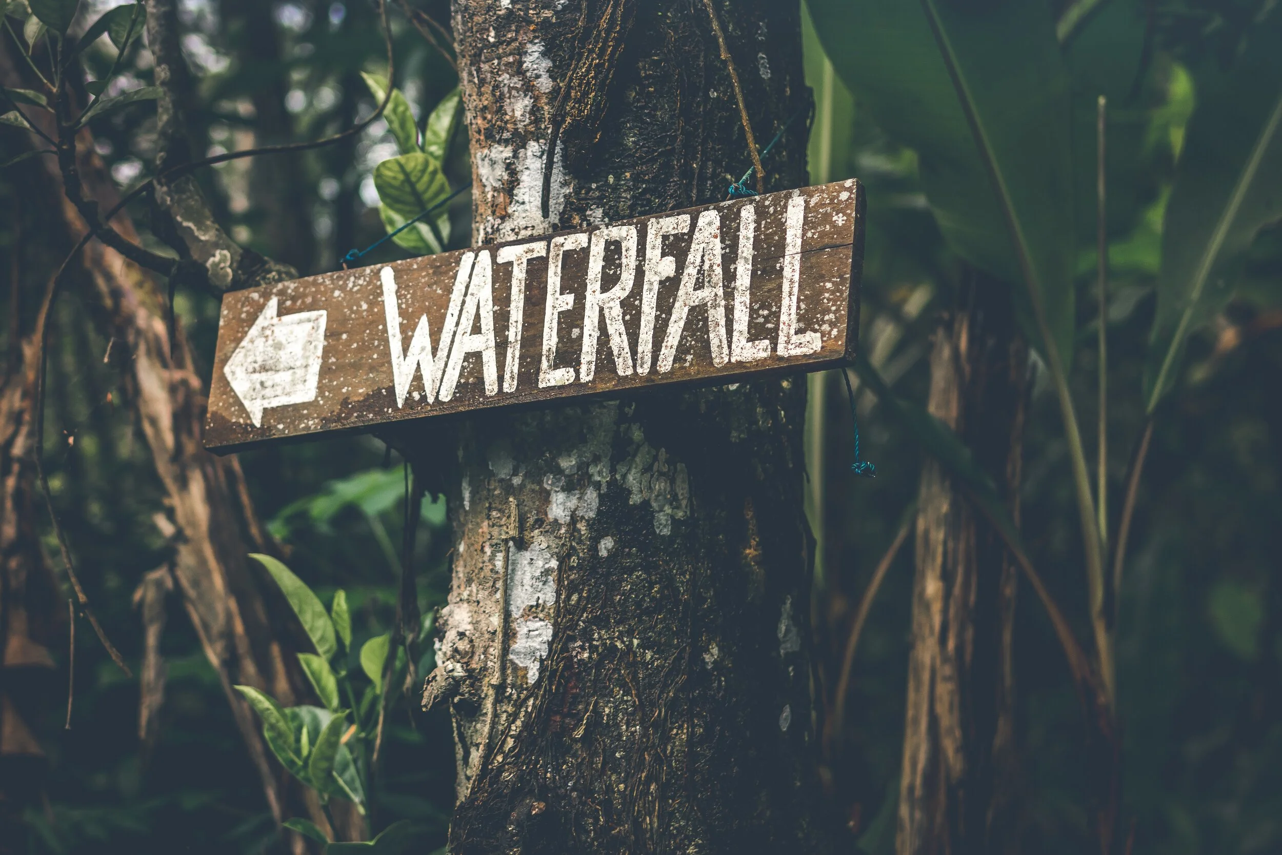 artem-bali-602790-unsplash.jpg
