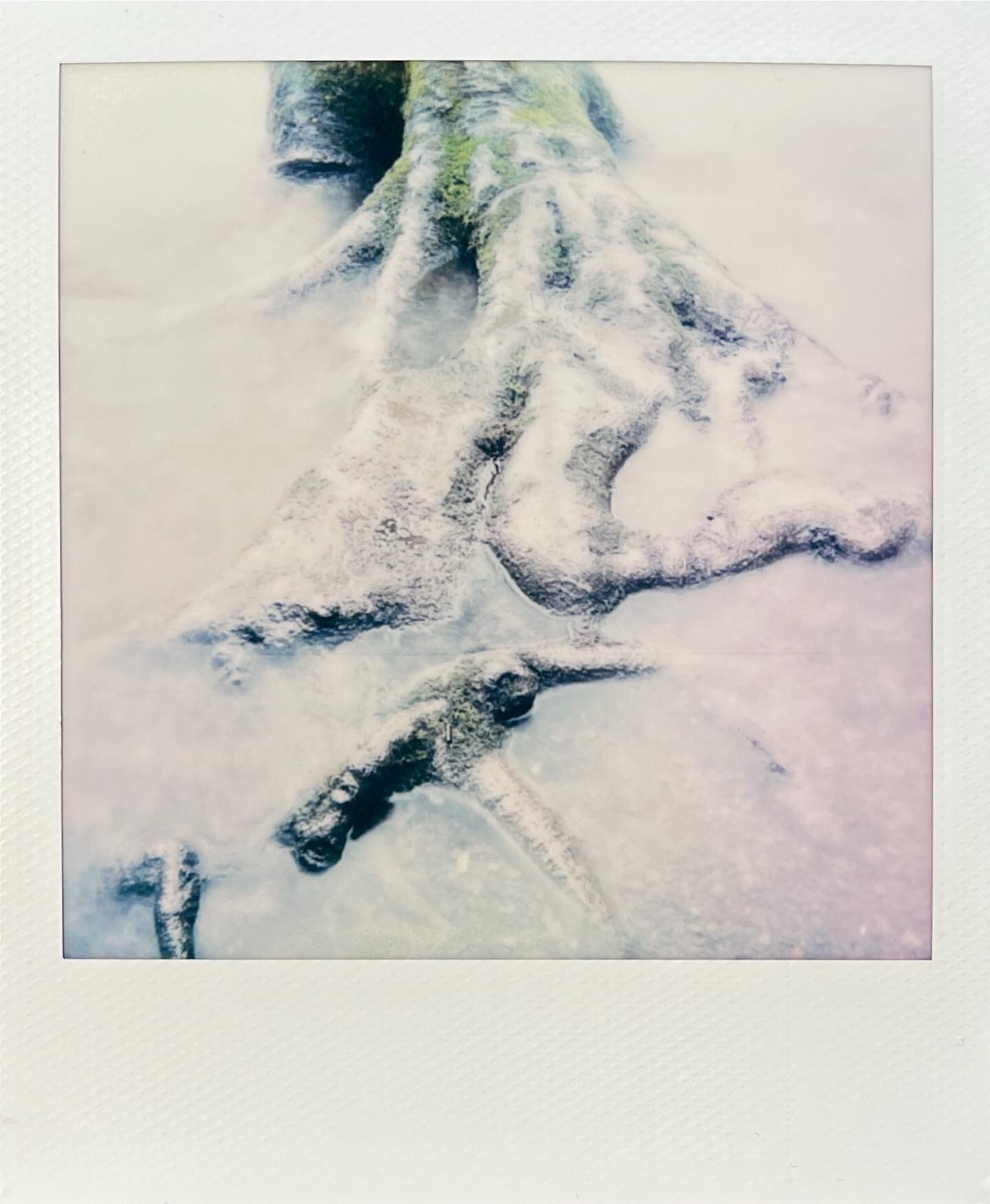 It&rsquo;s been fun to experiment with an instant photography lately. It gives me this new source of creativity that I have been searching for recently. Somehow, even though the image is not technically perfect, not very sharp and not very color accu