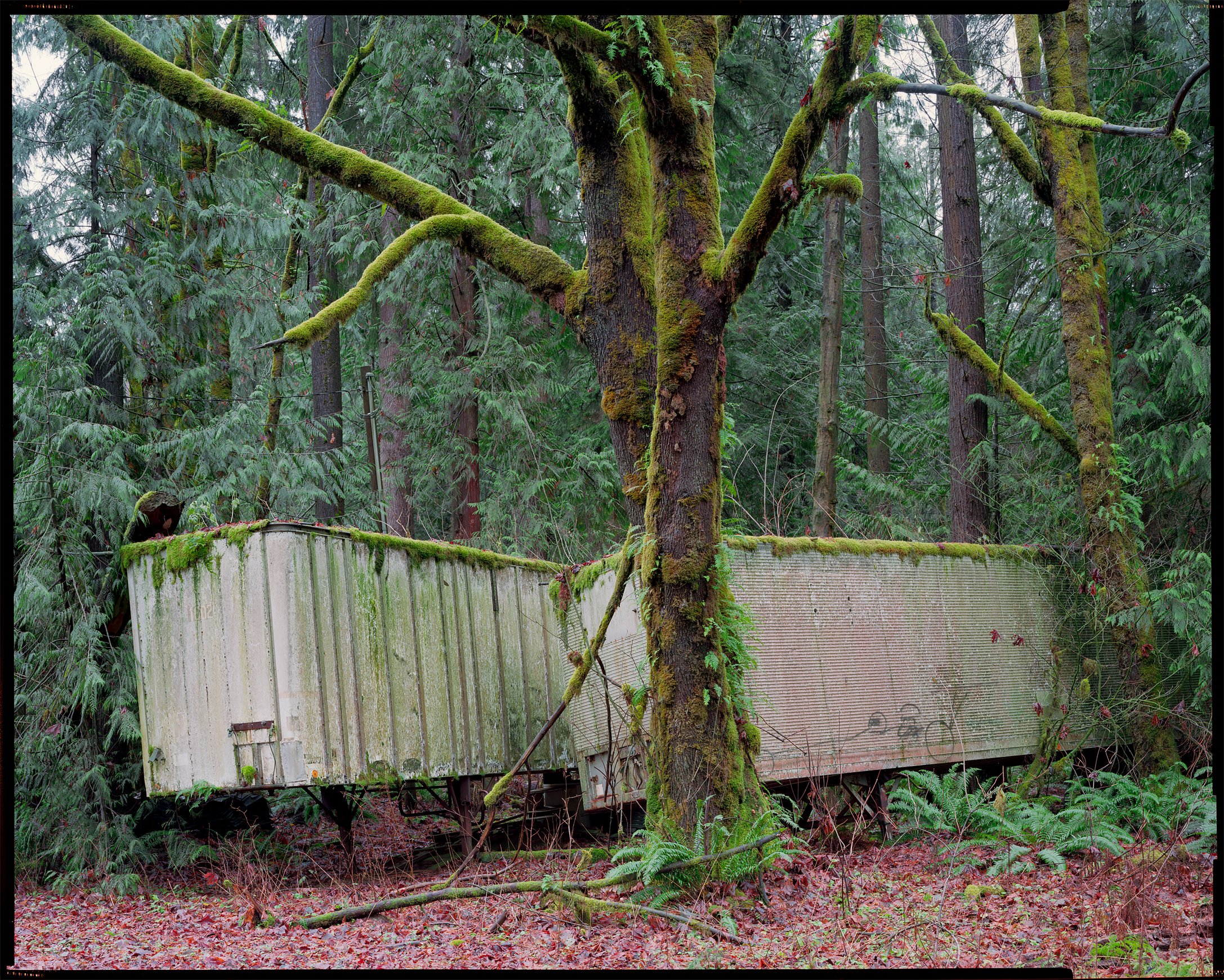  Lost Cargo   Washington, 2020 . Kodak Ektar 100 8x10 Large Format Film  