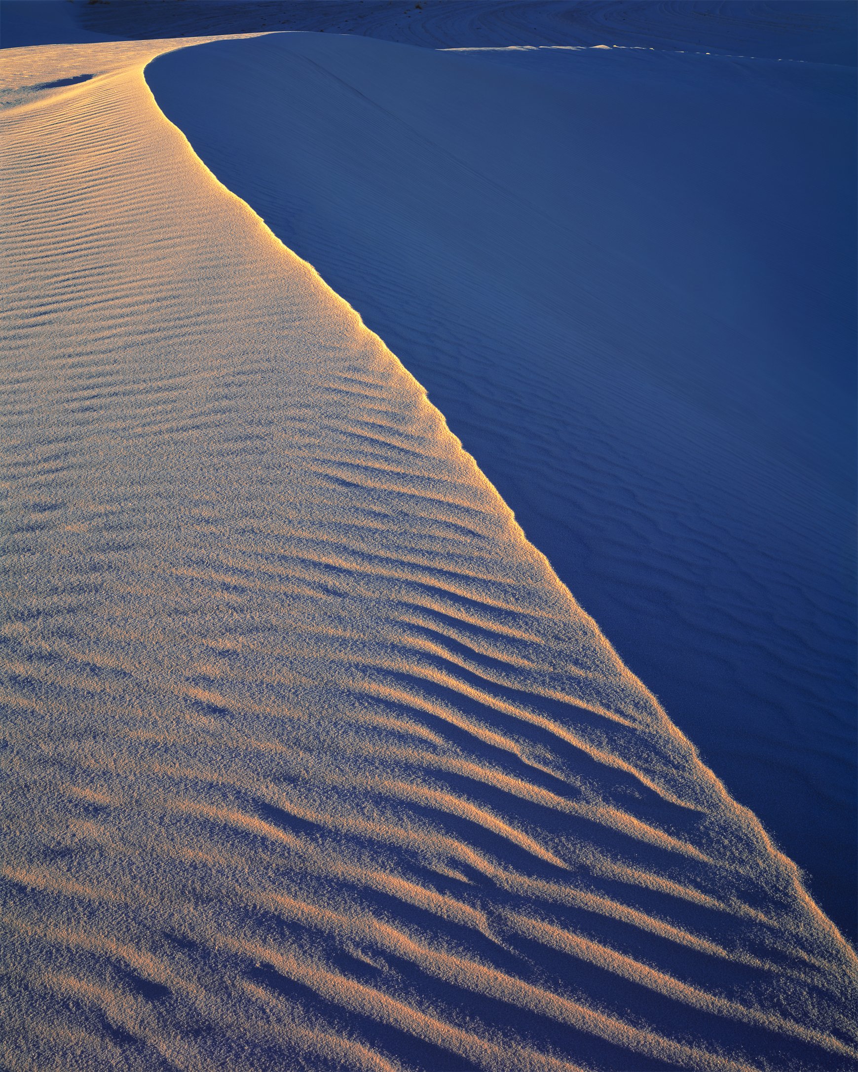   White Sands National Park, New Mexico, 2021 . Fuji Provia 100f 8x10 Large Format Film  
