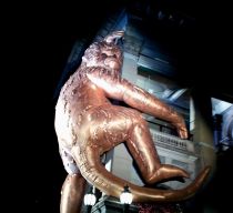 The Golden Monkey recognises the year of the Monkey in Chinese culture.