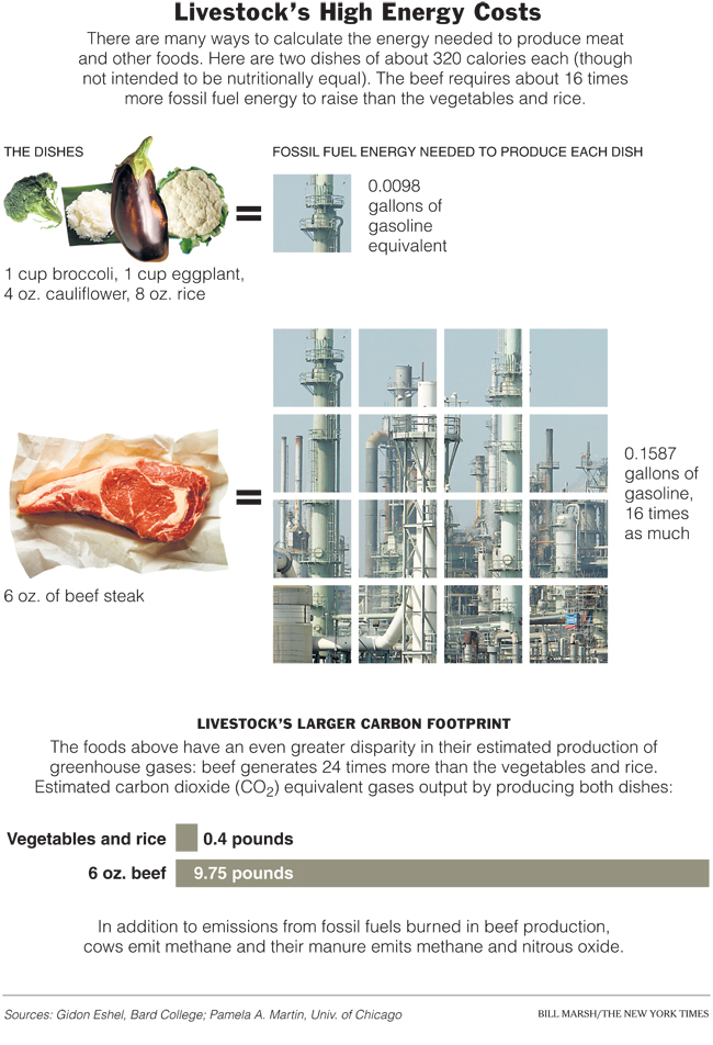This infographic, originally published in the New York Times, equates 320 calories of beef vs. vegetables, which shows a difference of 16x more gasoline equivalent energy to produce the beef. When recalculated on an ounce-by-ounce basis, the amount of energy required to make 1oz of beef is approximately 58x more than it takes to produce 1oz of the vegetables/grains depicted above. 
