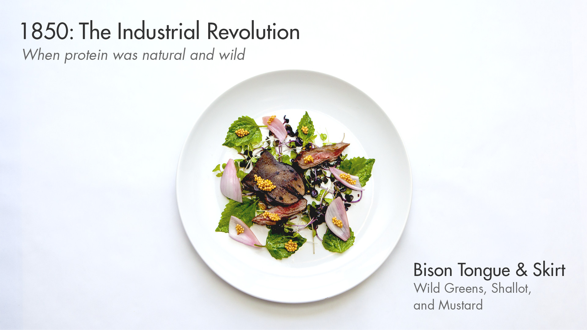FutureOfProteinDishes-1_16x9_03.jpg