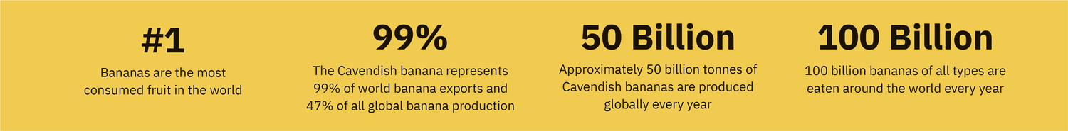 The Future of the Banana — The Future Market