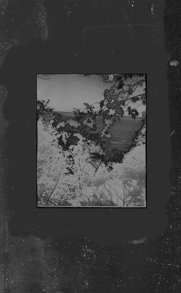 Screen Shot 2020-05-05 at 4.46.42 PM.png