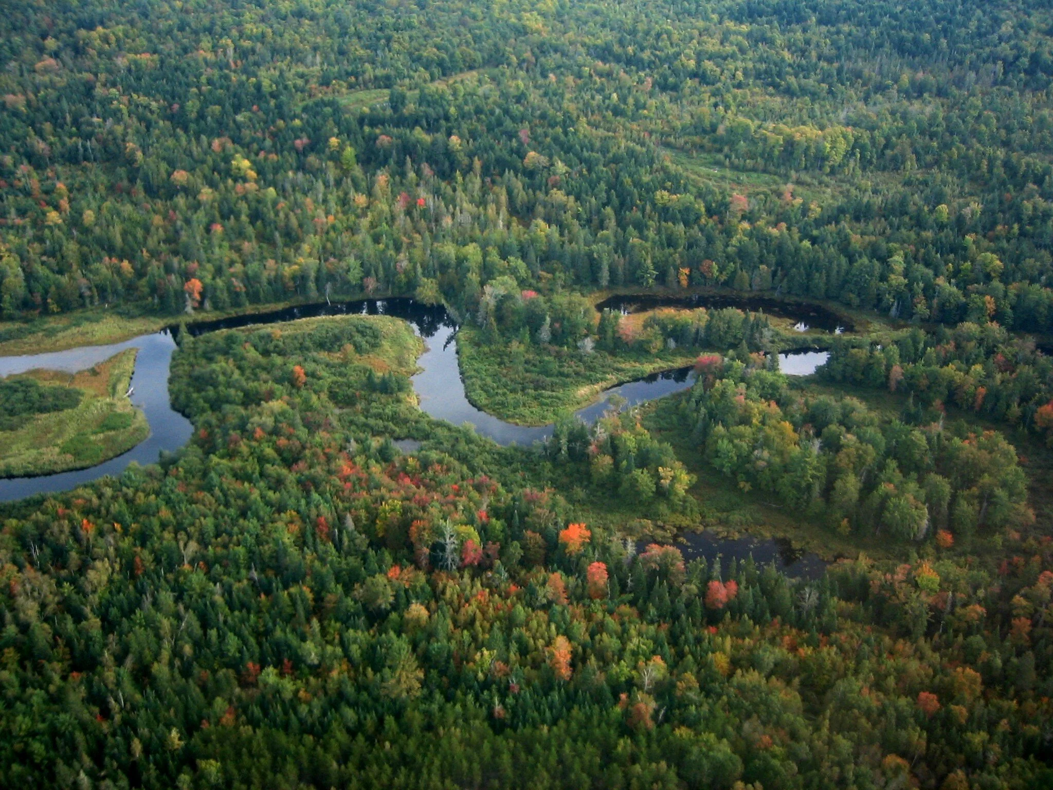 About — Minnesota Invasive Species Advisory Council