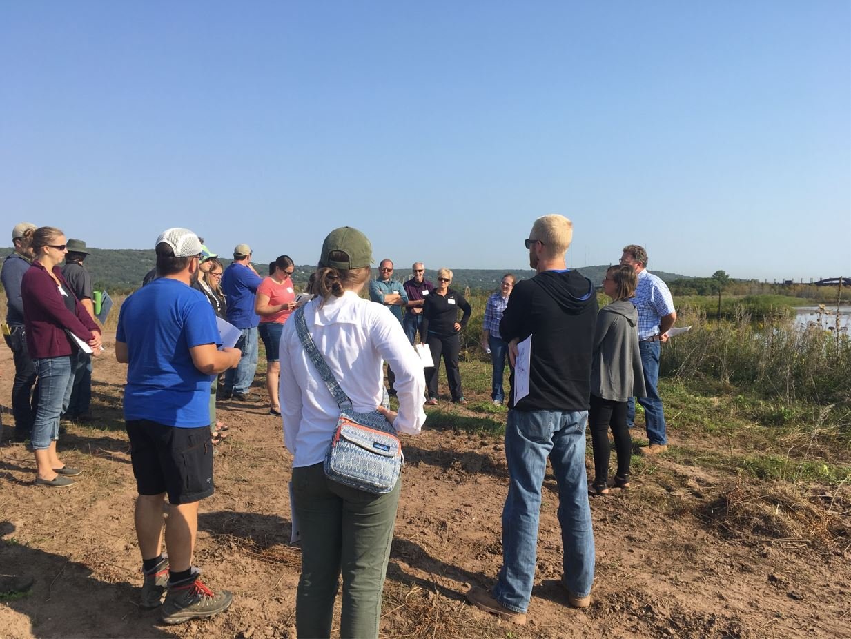 Learning about phragmites