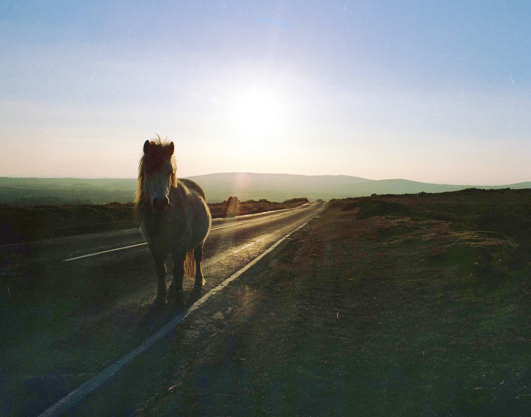 Cefn Bryn , Ed Thomas, 2016