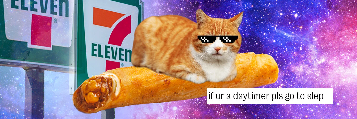 TAQUITO CAT - BANNER.jpg