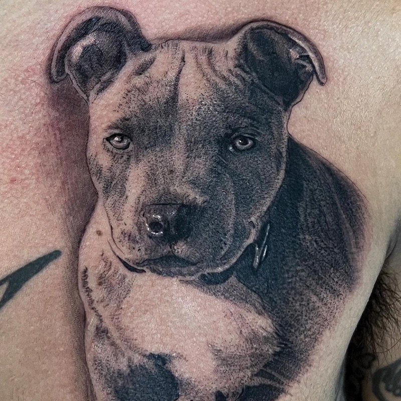 John Millan Realistic Dog Tattoo