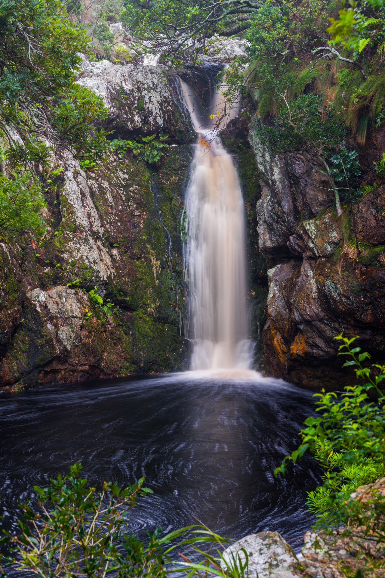 DSC_5259.jpg