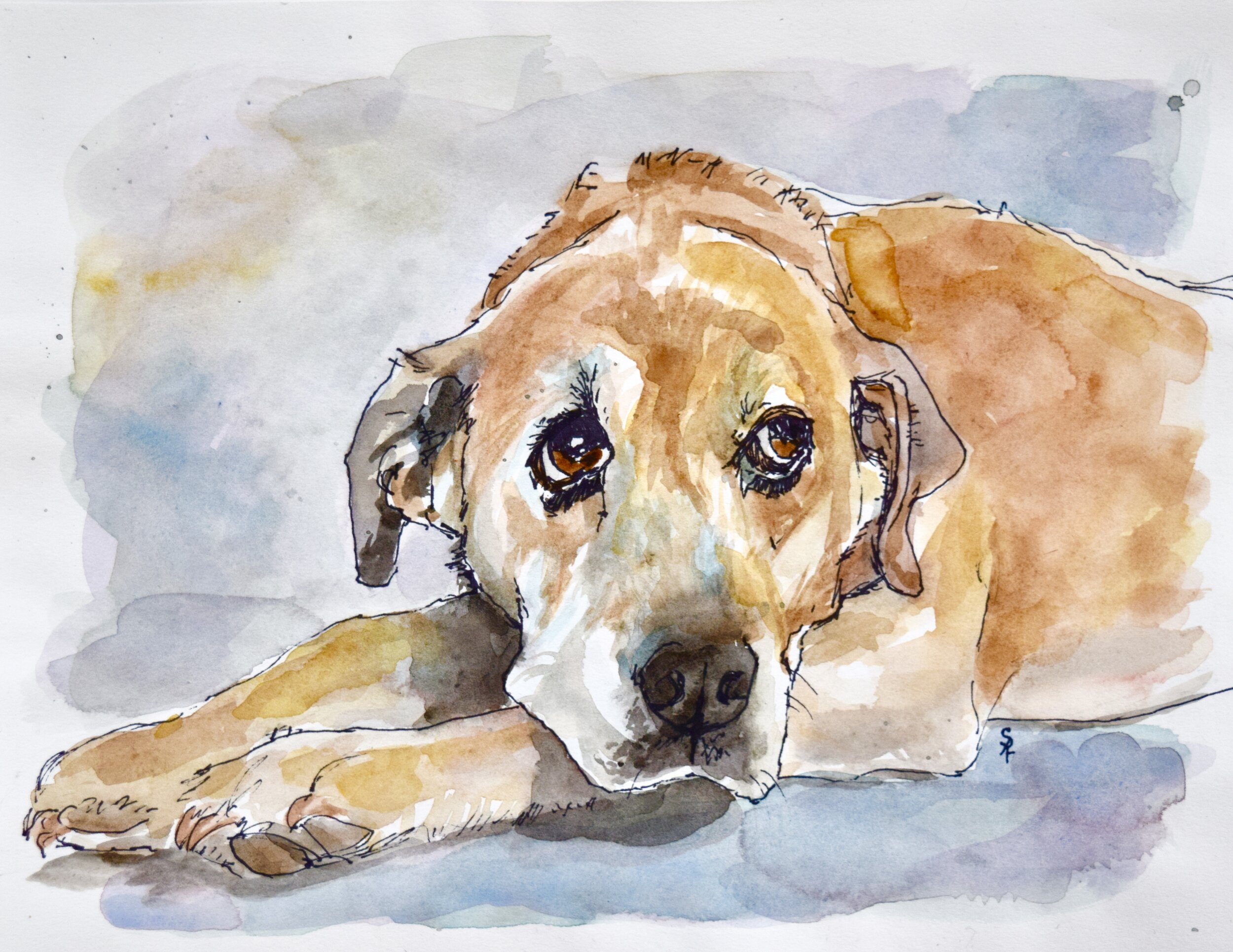 8" x 10" watercolor on ink