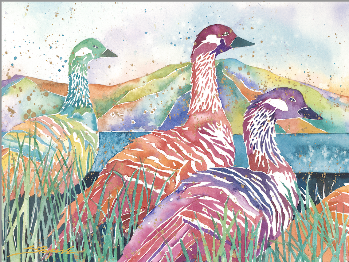 Screenshot 2025-07-05 at 12.12.32 PM.png