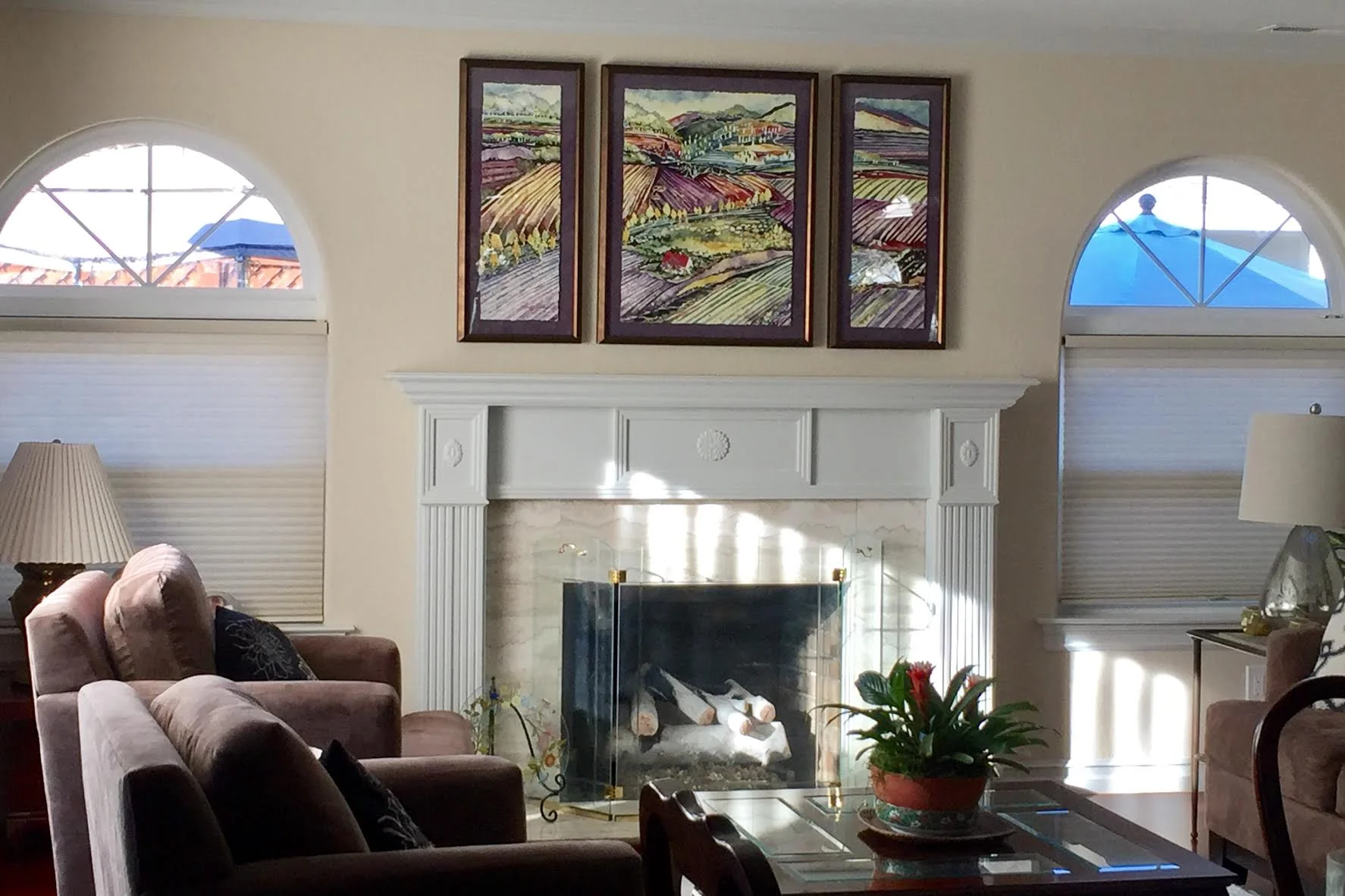 Upcountry Vineyard Triptych