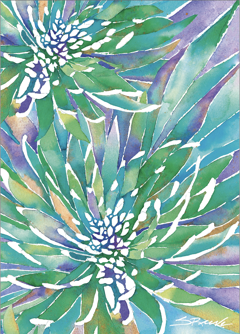 Screenshot 2026-02-01 at 12.24.21 PM.png