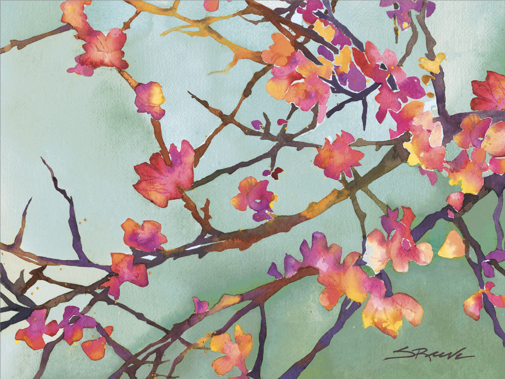 Screenshot 2026-01-20 at 3.55.42 PM.png