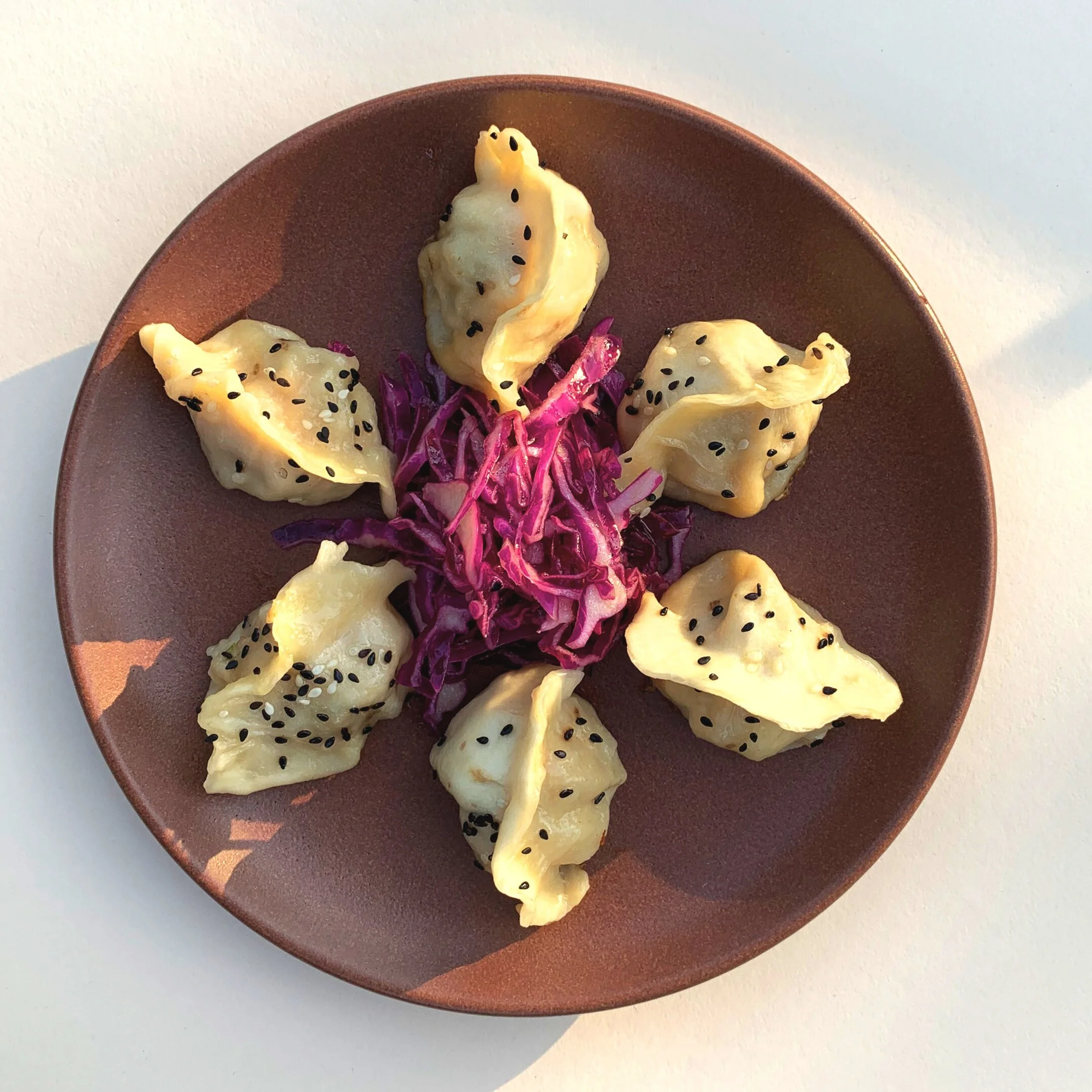 Frozen Shrimp Dumplings