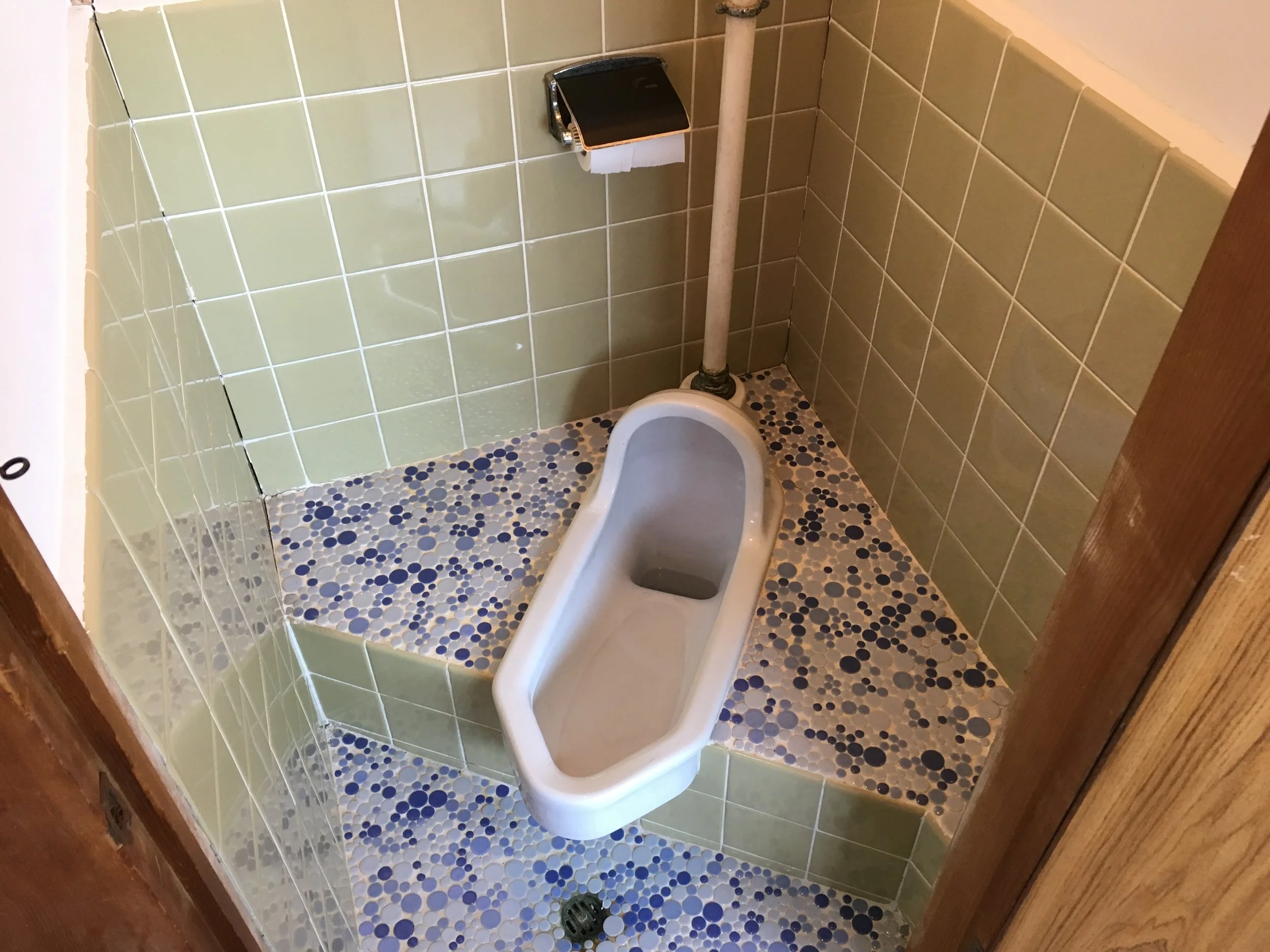 These toilets are disappearing in Japan.