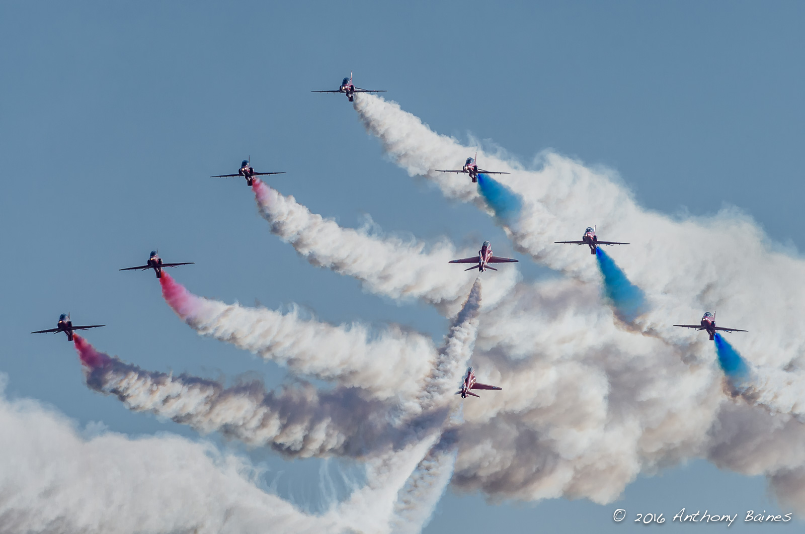 Red Arrows goose