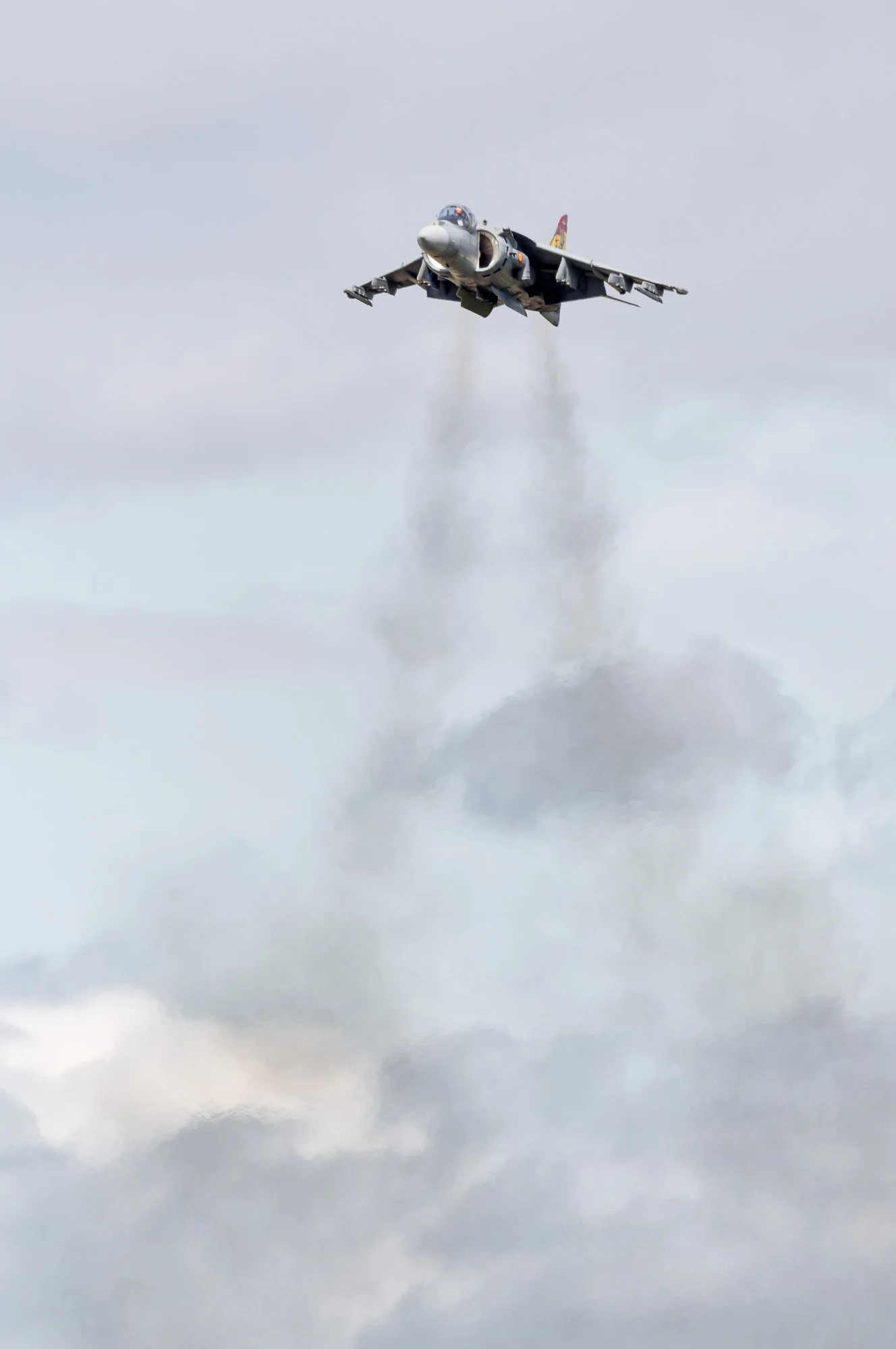 A much missed sight in UK skies: a Spanish Harrier hovering at Fairford