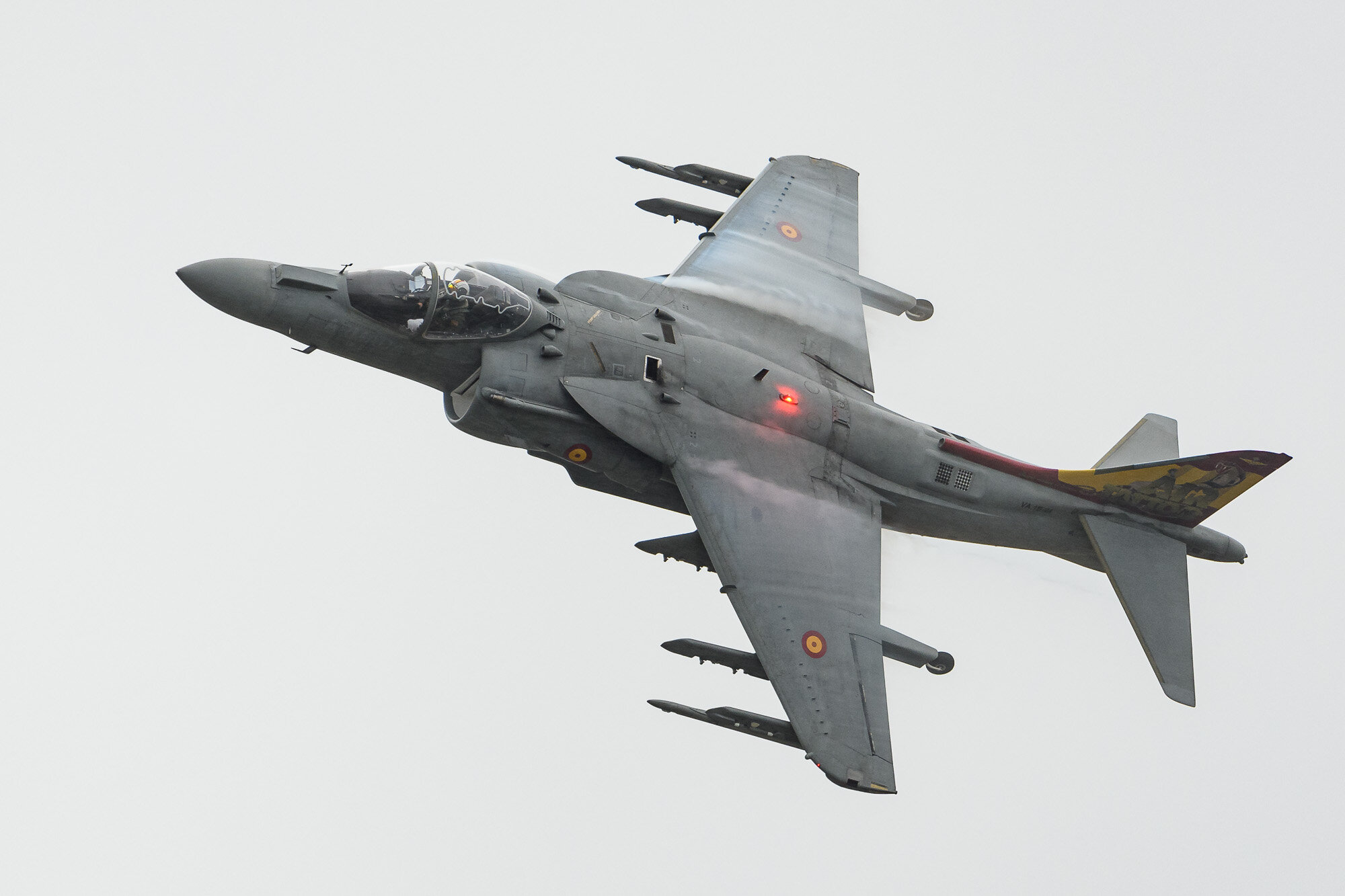 Harrier of the Spanish Navy