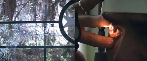 Still from the video work Within This Narrow Strip of Land, by Judy Price, 2008/2009