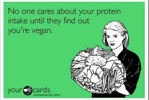 protein1-593x400.jpg