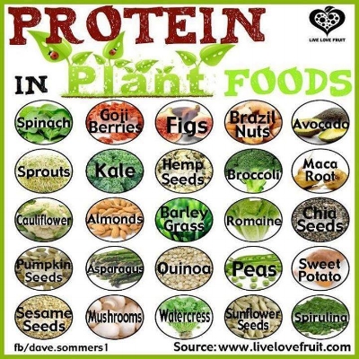 vegan protein meme