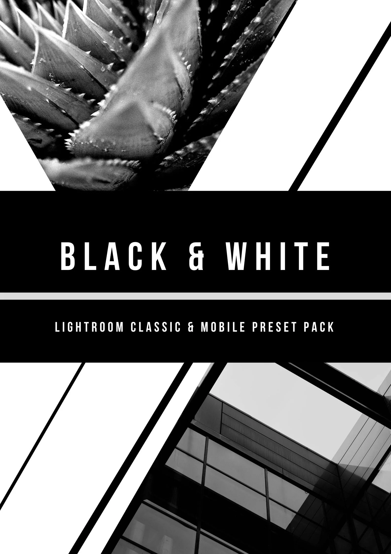 Black and White Presets