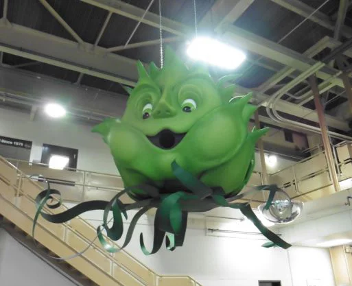 HAPPY HOPS