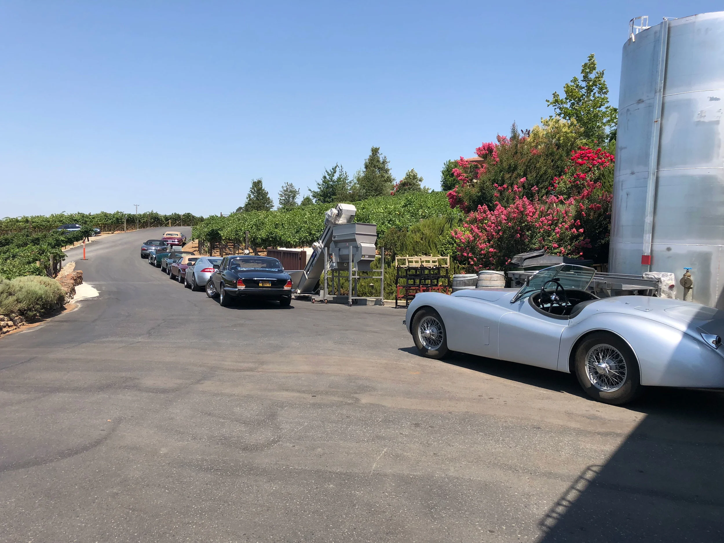 winery2.jpg