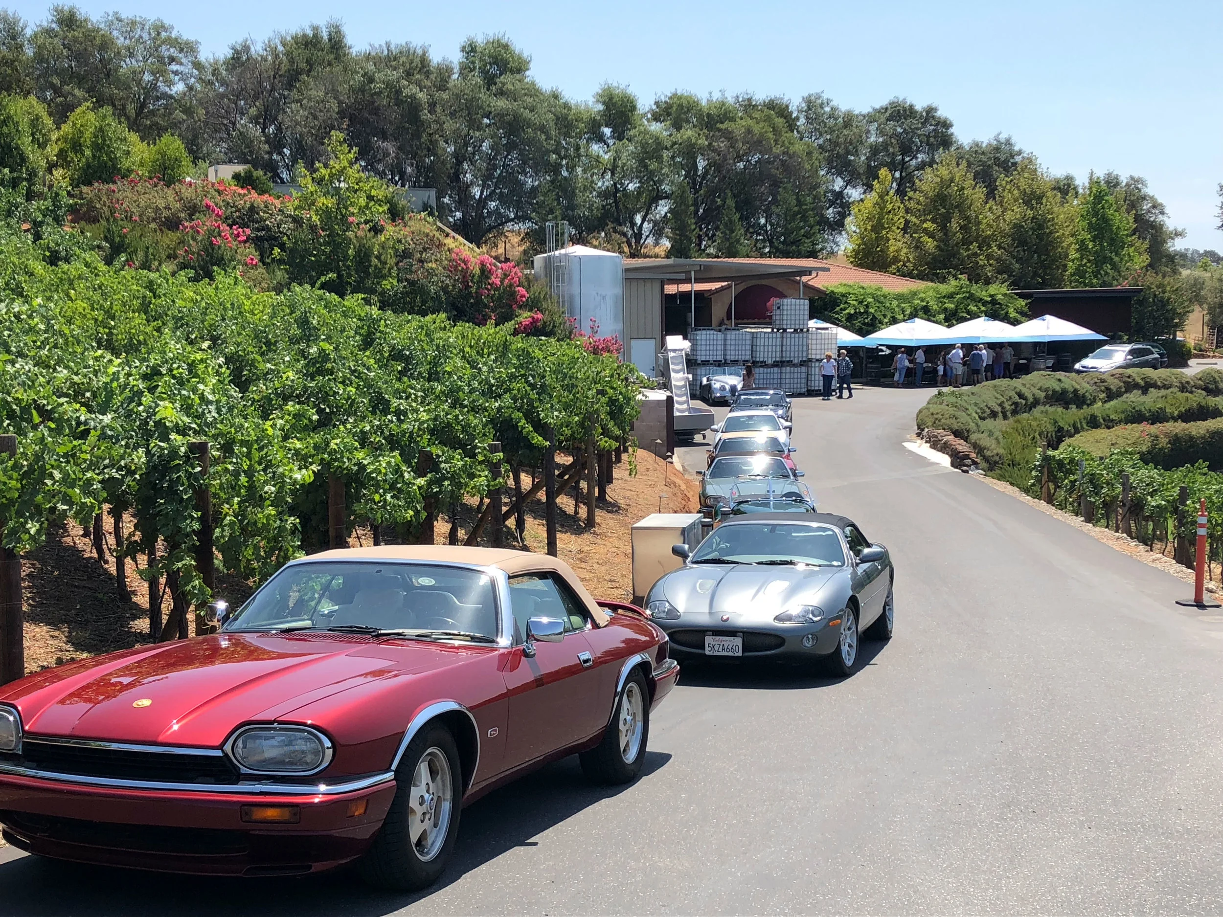 winery3.jpg