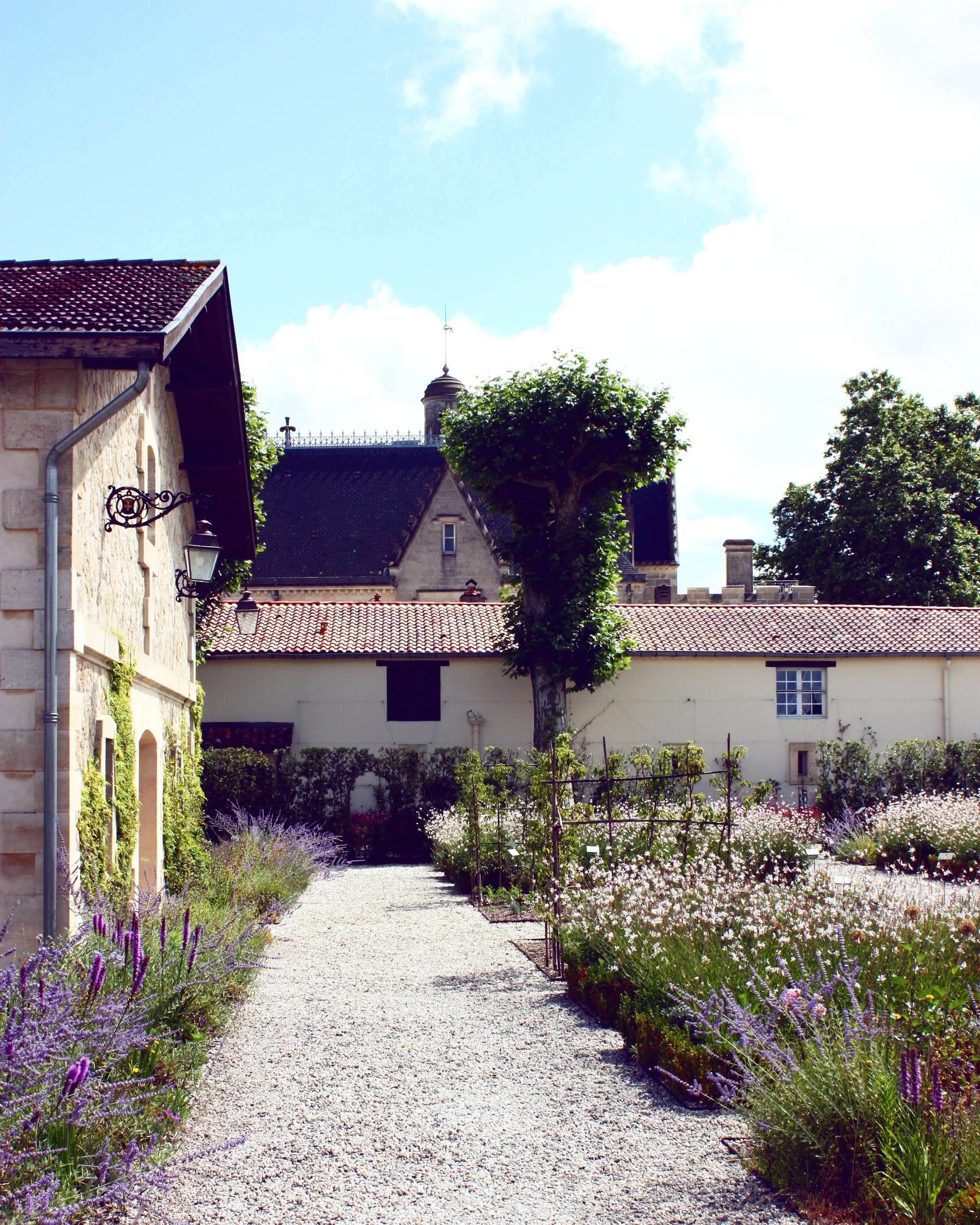 Bordeaux - Wine Tours
