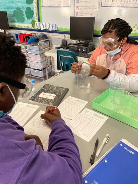Sophie's students explore chemical reactions.