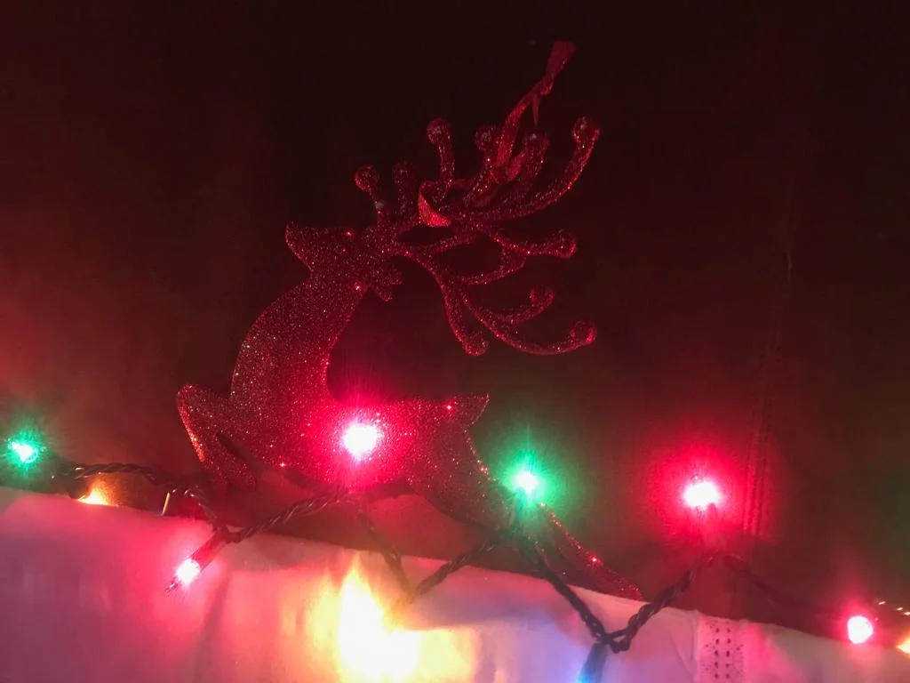Annual Holiday Celebration at Duck Soup