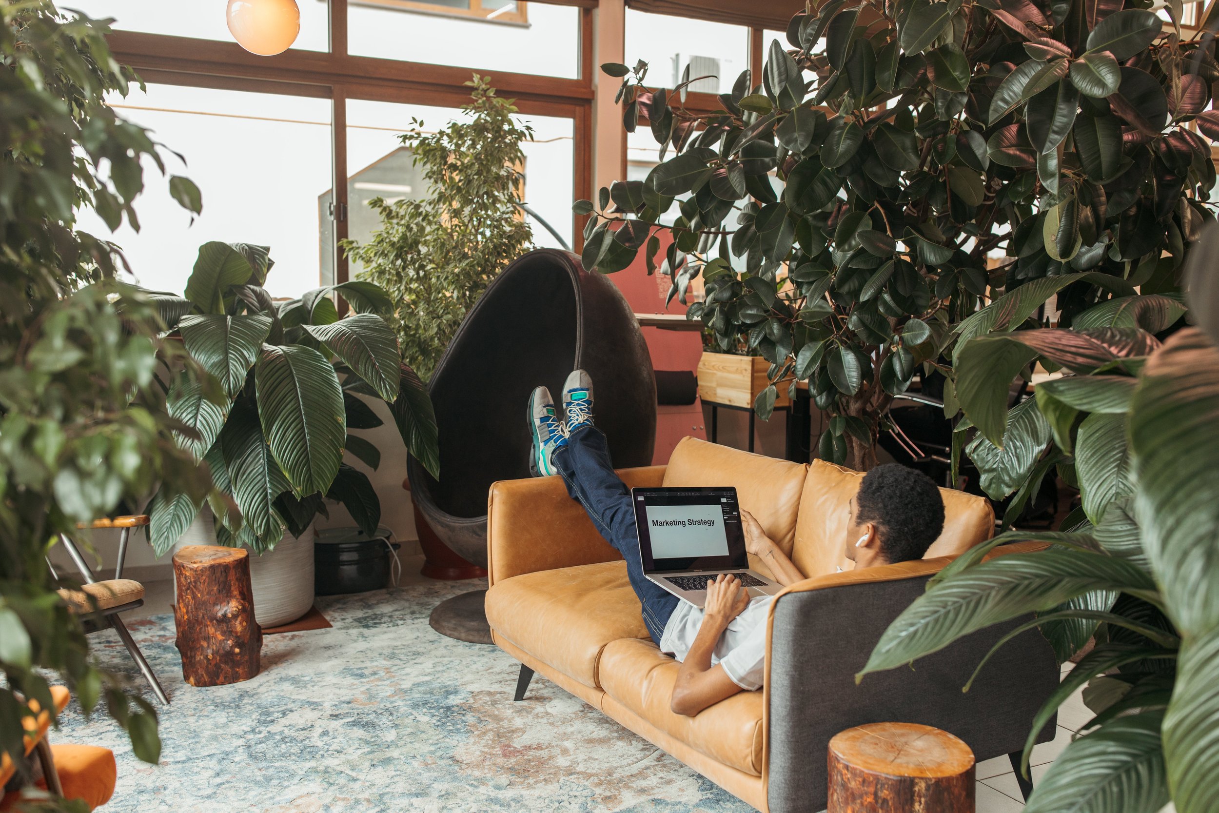 Revitalising Workspaces: Why Plants are at the Core of Post-Pandemic Office Life